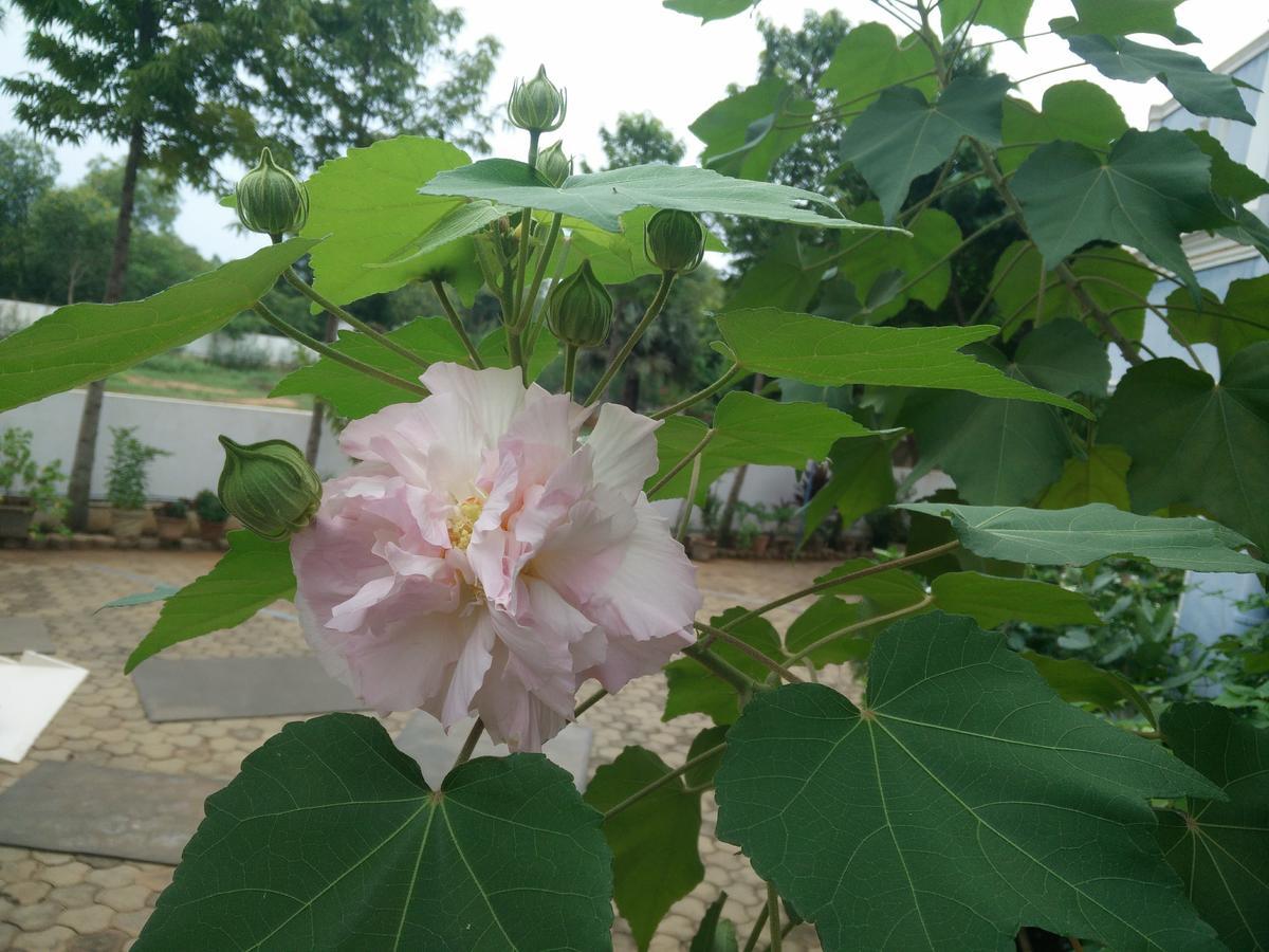 Hotel La Grace Integral Retreat Puducherry Exterior foto